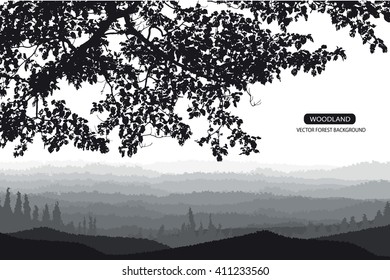 Trees and branches silhouette in aqua. Detailed vector illustration. Forest banner.