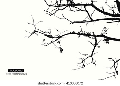 Trees and branches silhouette in aqua. Detailed vector illustration. Forest banner.