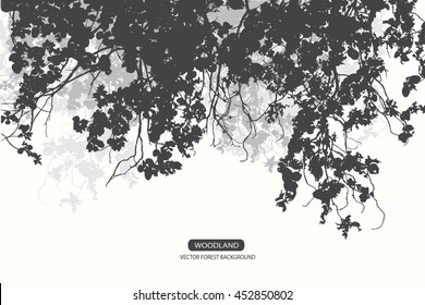 Trees and branches silhouette in aqua. Detailed vector illustration. Forest banner.