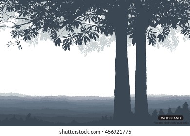 Trees and branches silhouette in aqua. Detailed vector illustration. Forest banner.