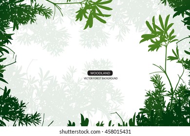 Trees and branches silhouette in aqua. Detailed vector illustration. Forest banner.