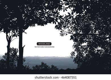 Trees and branches silhouette in aqua. Detailed vector illustration. Forest banner.