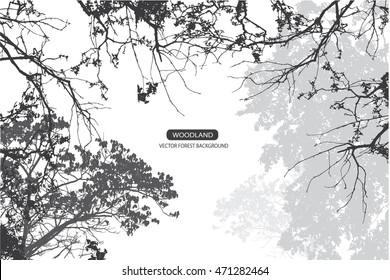 Trees and branches silhouette in aqua. Detailed vector illustration. Forest banner.