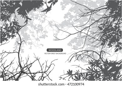 Trees and branches silhouette in aqua. Detailed vector illustration. Forest banner.