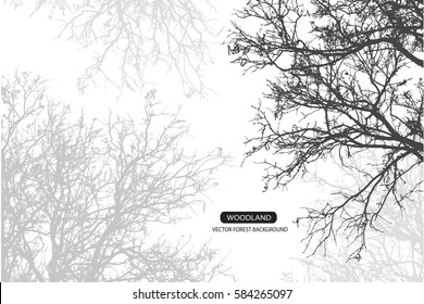 Trees and branches silhouette in aqua. Detailed vector illustration. Forest banner.