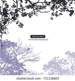 Trees and branches silhouette in aqua. Detailed vector illustration. Forest banner.