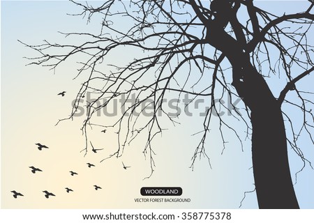 Similar – Image, Stock Photo Mystery window Art