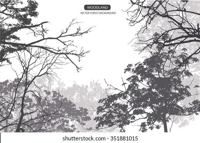 Trees and branches silhouette. Detailed vector illustration. Forest banner.