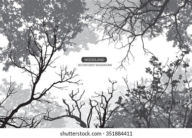 Trees and branches silhouette. Detailed vector illustration. Forest banner.