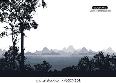 Trees and branches silhouette. Detailed vector illustration. Forest banner.
