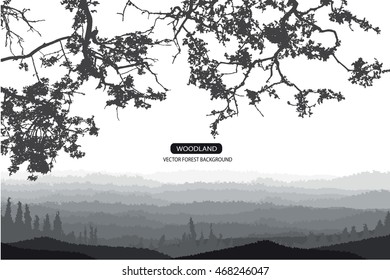 Trees and branches silhouette. Detailed vector illustration. Forest banner.