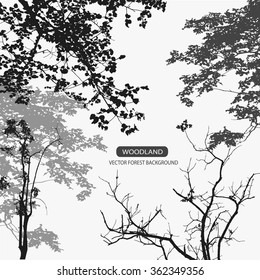 Trees and branches silhouettes. Detailed vector illustration. Forest banner.