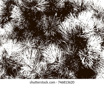 Trees, branches. White and black background.