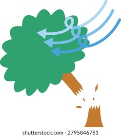 Trees broken by strong winds