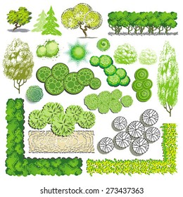 Trees and bush item for landscape design, vector icon