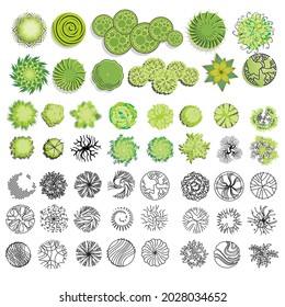 Trees and bush item top view for landscape design, vector icon