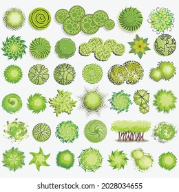 Trees and bush item top view for landscape design, vector icon