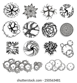 Trees and bush item top view for landscape design, vector icon
