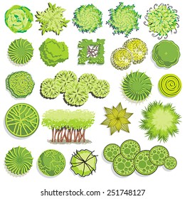 Trees and bush item top view for landscape design, vector icon
