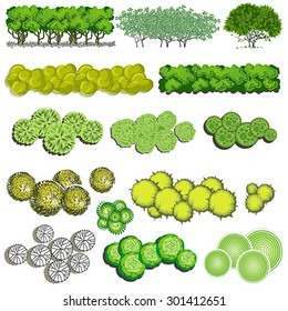 Trees And Bush Item Top View For Landscape Design, Vector Icon