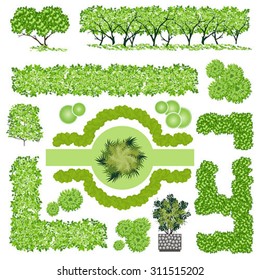 Trees And Bush Item Top View For Landscape Design, Vector Icon