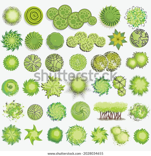 Trees Bush Item Top View Landscape Stock Vector Royalty Free 2028034655 Shutterstock 9615