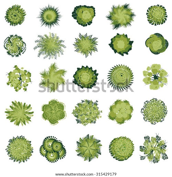 Trees Bush Item Top View Landscape Stock Vector (Royalty Free) 315429179