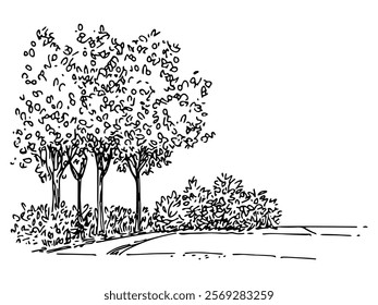 trees and bushes along a curved path, hand drawn sketch