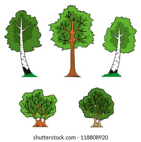Trees and bushes in the forest, vector illustration