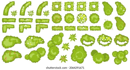 Trees, bushes and hedge top view for architectural and landscape design. Different colored blooming plants and trees vector set. Graphic, isolated. Vector. Elements for design projects. Green spaces