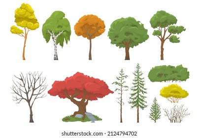 Trees and bushes set, flat vector isolated illustration. Forest, garden trees, shrubs covered with green, yellow, red leaves and stripped of their leaves.