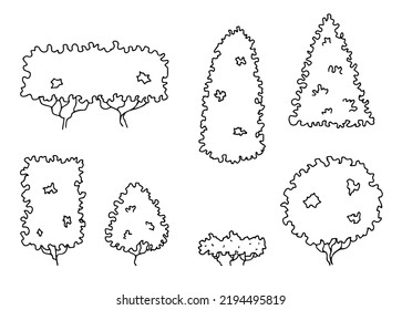 Trees and bushes. Topiary. Elements of parks and streets. Hand drawn illustration. Vector