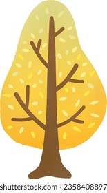 trees change color in autumn