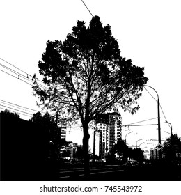 Trees and city silhouette. Vector