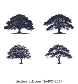 trees collection, different tree vector. Vector illustration trees set on white background
