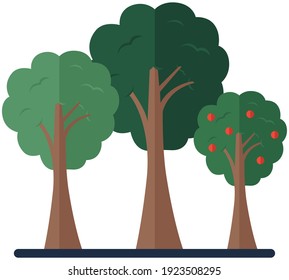 Trees collection. Ecology garden botanical cartoon vector illustration. Tree with red fruits Deciduous green plants. Forest planting isolated on white background. Trunks with leaves and branches