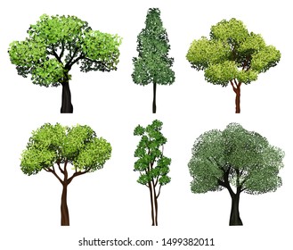 Trees collection. Green plants with leaves ecology garden botanical vector realistic pictures