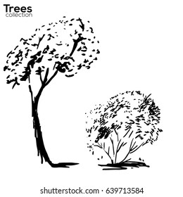 Trees collection. Ink trees silhouettes
