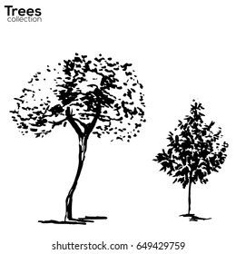 Trees collection. Ink trees silhouettes