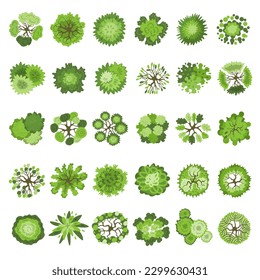 Trees collection. Map top view plants park garden set recent vector illustration set