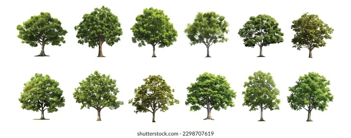 Trees collection set. Green plants with leaves, garden botanical vector realistic - Shutterstock ID 2298707619