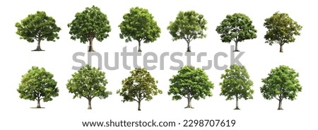 Trees collection set. Green plants with leaves, garden botanical vector realistic