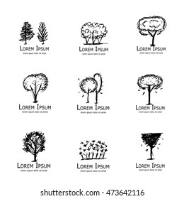 Trees collection, sketch for your design