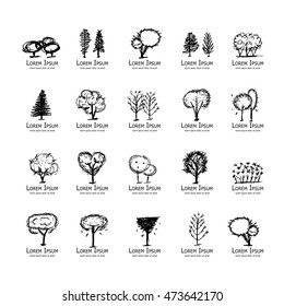 Trees collection, sketch for your design