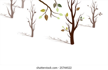 Trees coming to life into the spring season, trees with dramatic shadows, white background, vector illustration