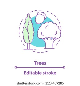 Trees concept icon. Park, forest idea thin line illustration. Poplar and oak trees, acorn. Vector isolated outline drawing. Editable stroke