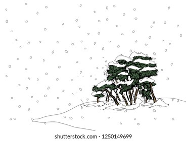 Árboles cubiertos de nieve nevando