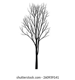 Trees with dead branch