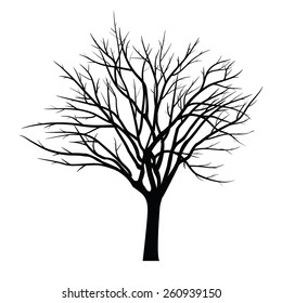 Trees with dead branch