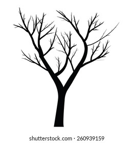 Trees with dead branch